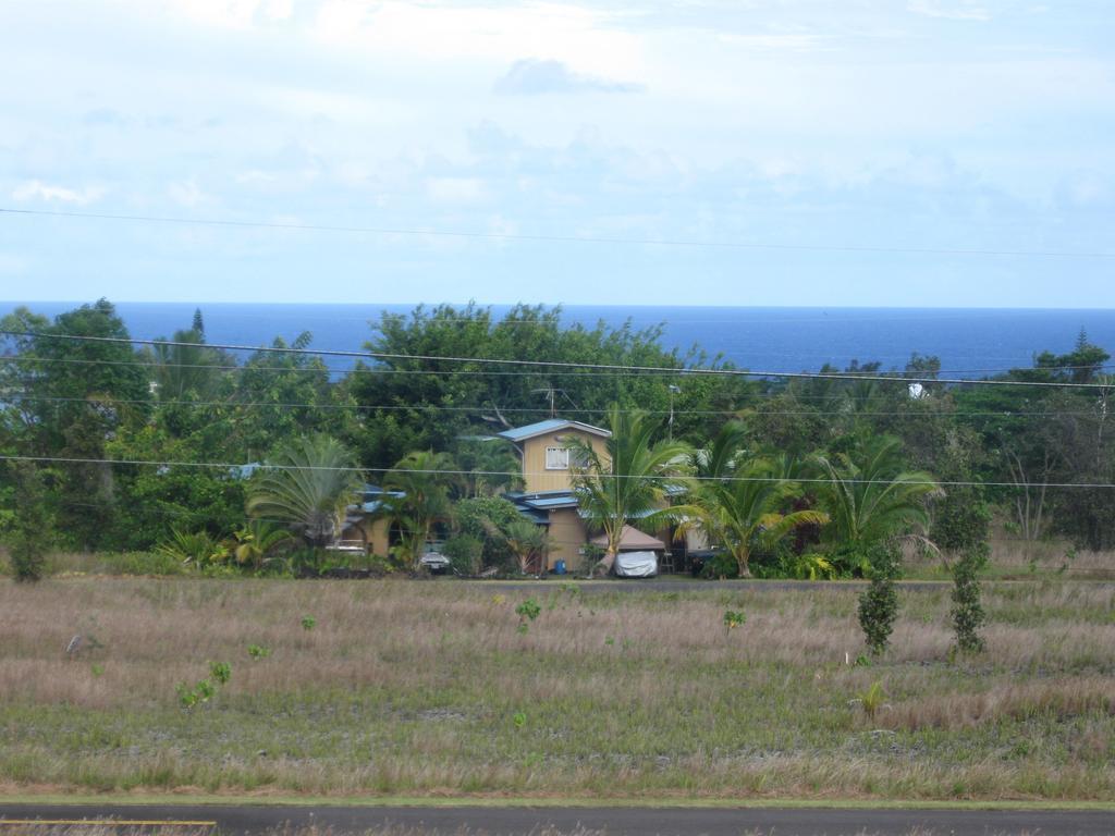 Coconut Palms Vacation Rental Near Lava Fields And Beaches Kehena Phòng bức ảnh