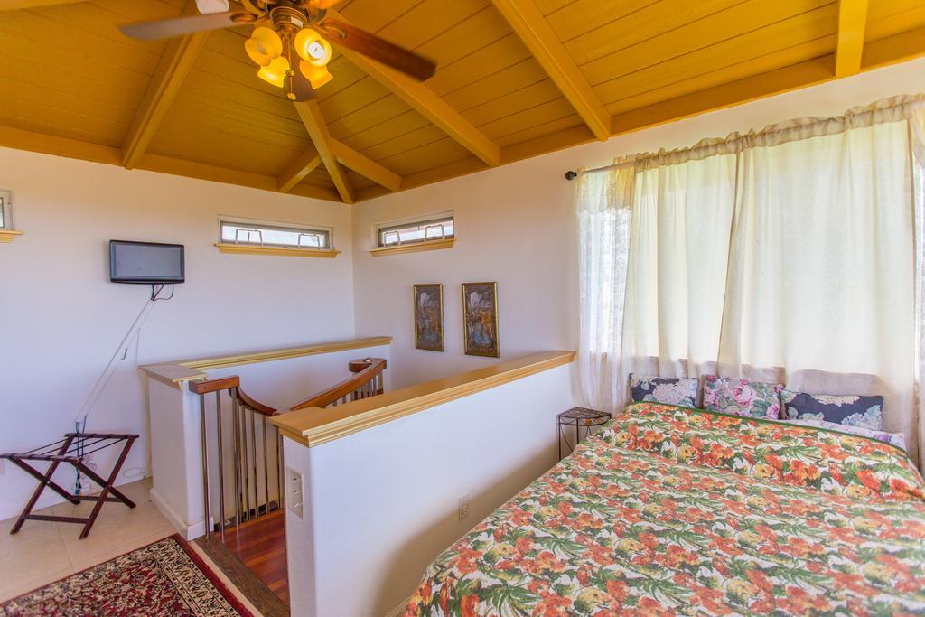 Coconut Palms Vacation Rental Near Lava Fields And Beaches Kehena Ngoại thất bức ảnh