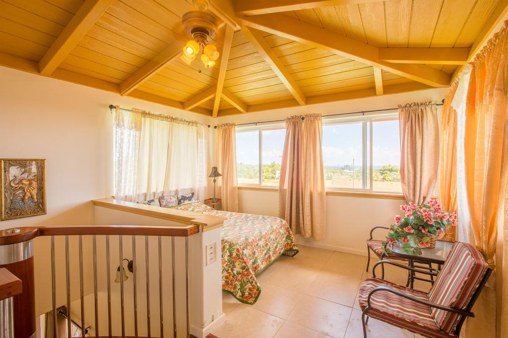Coconut Palms Vacation Rental Near Lava Fields And Beaches Kehena Ngoại thất bức ảnh