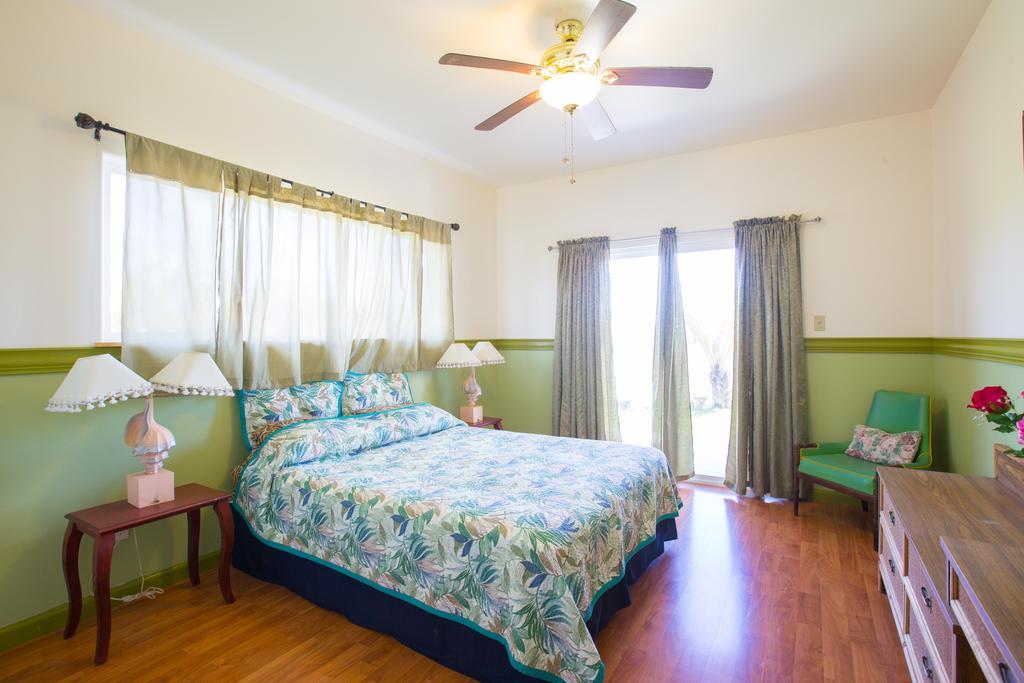 Coconut Palms Vacation Rental Near Lava Fields And Beaches Kehena Ngoại thất bức ảnh