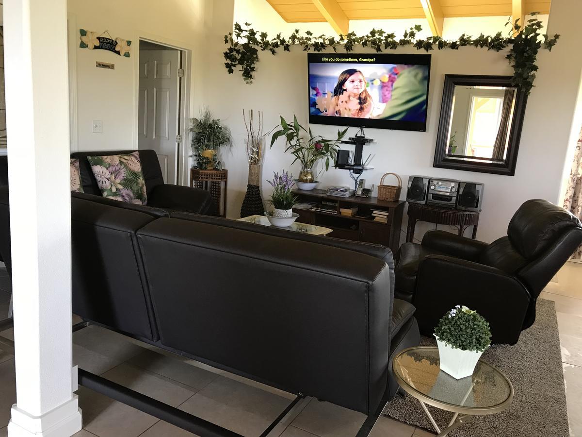 Coconut Palms Vacation Rental Near Lava Fields And Beaches Kehena Ngoại thất bức ảnh
