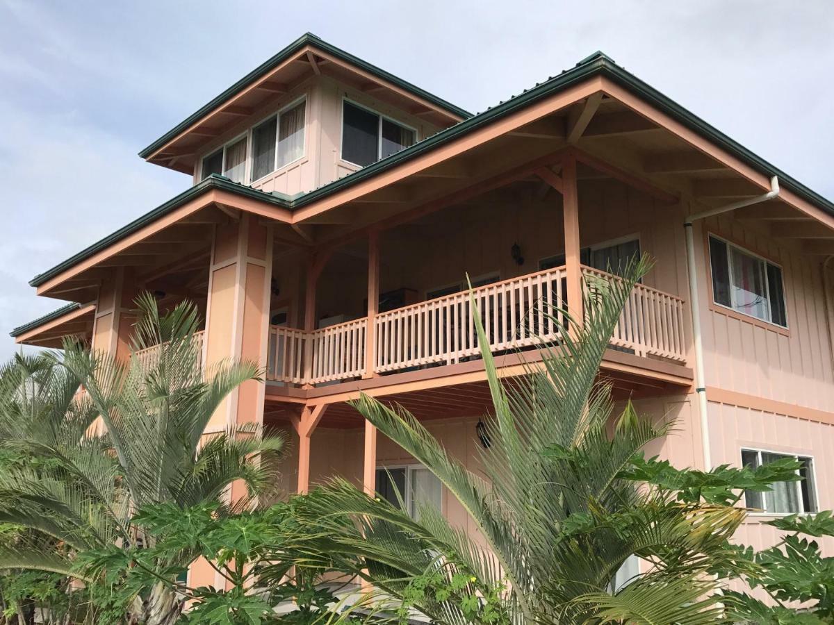 Coconut Palms Vacation Rental Near Lava Fields And Beaches Kehena Ngoại thất bức ảnh