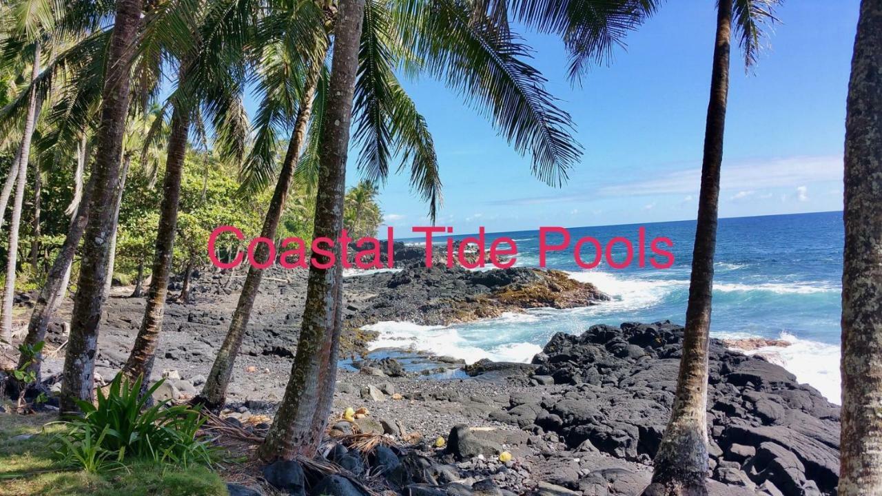 Coconut Palms Vacation Rental Near Lava Fields And Beaches Kehena Ngoại thất bức ảnh